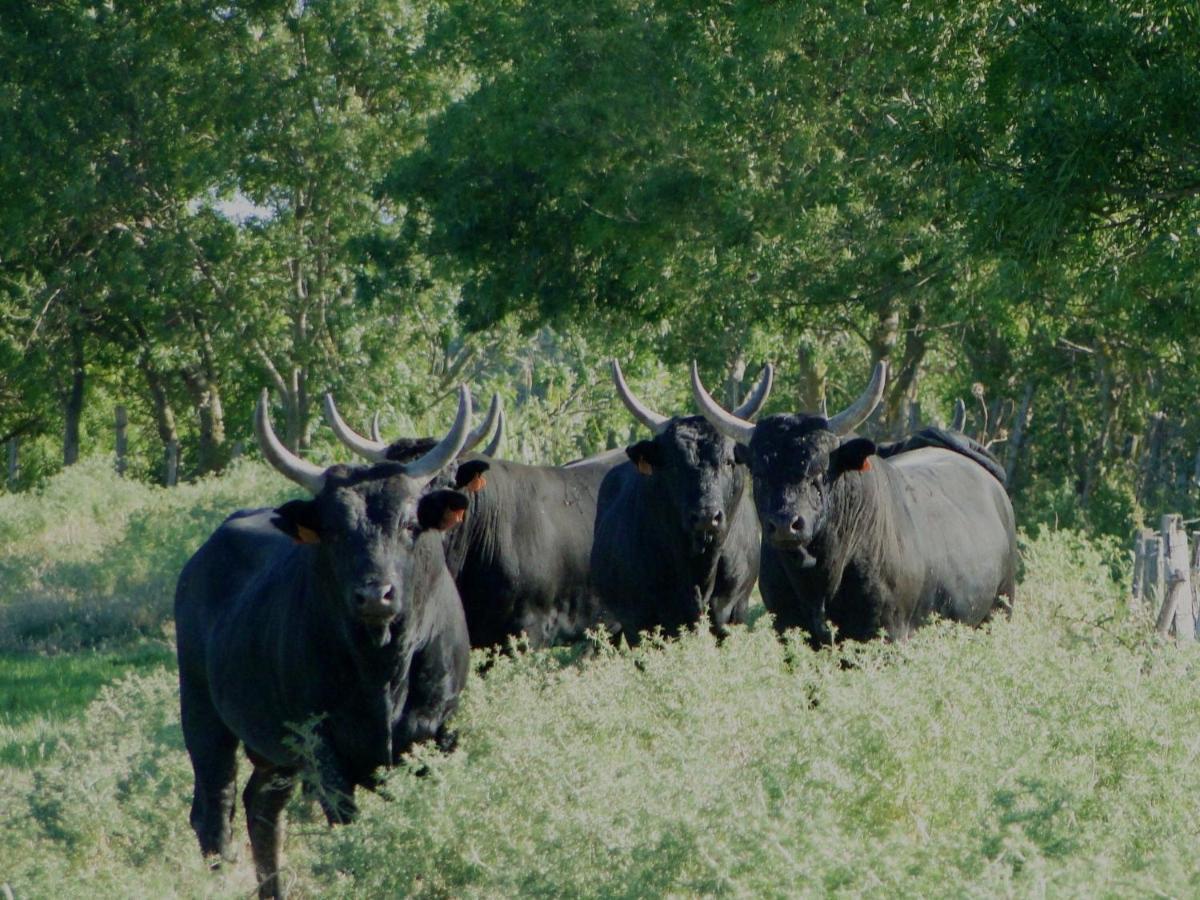 Le Clos De Camargue Gallician Δωμάτιο φωτογραφία